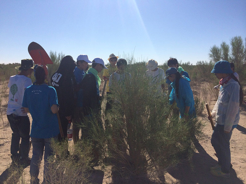 ������Ҫ��һ���ļ��ɺͽ�(j��ng)���ͬ�W(xu��)���_ʼ������һƬ�����ַ��ز����^�m(x��)�����[�ص�����