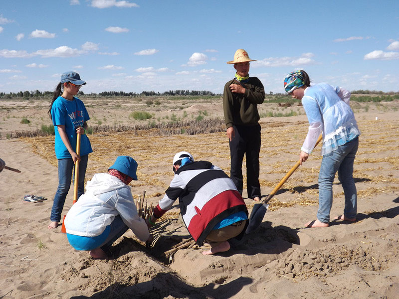 �@�N1.5��Ҋ�������ݸ�������ɳЧ����á����^4��5���͕�(hu��)�L(f��ng)�g��������Ҫ�����a(b��)����