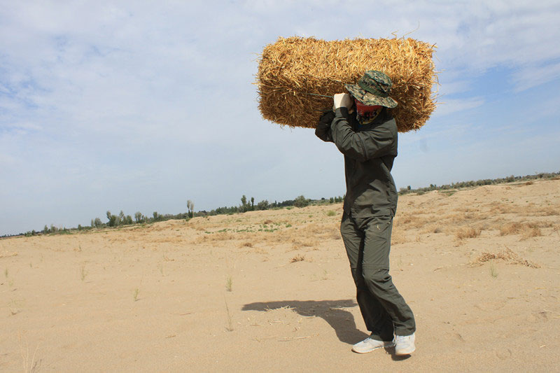 �F(tu��n)�T���i�������ݣ����ϳ����������������؟(z��)�Ρ�