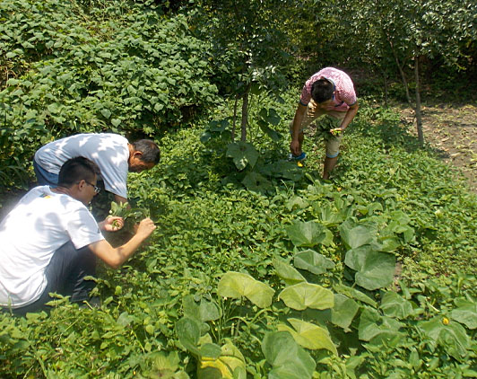 �ڶ��죬�(du��)�T���_ʼ�������B(t��i)�r(n��ng)���w�(y��n)�r(n��ng)��������������ժ����