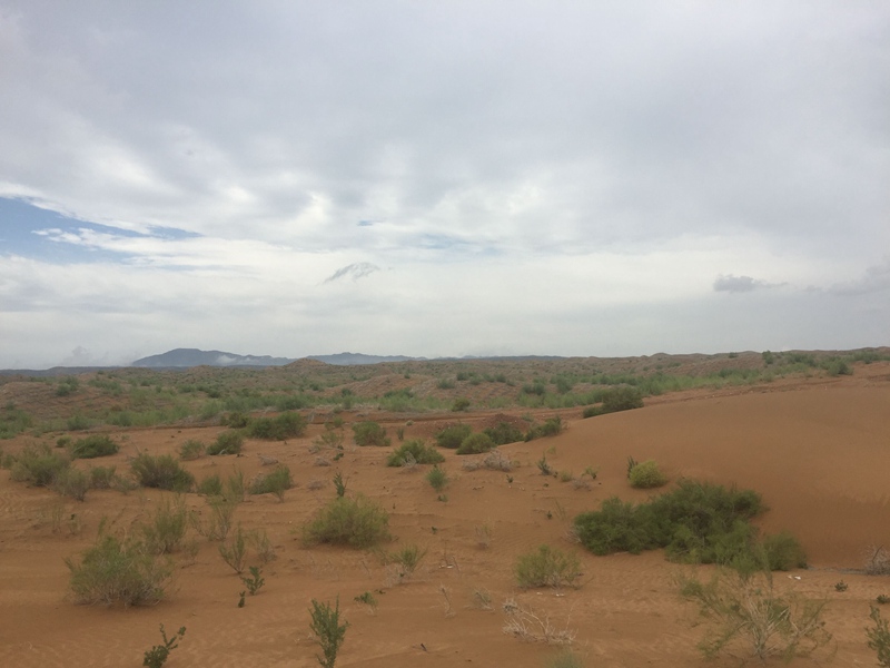 �v����ɳĮ�޾W(w��ng)������ݷ����ﲼ�M(m��n)�[�d��ɳ��ֲ����