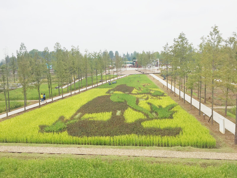 ������L�������������zӰ����־�ۣ�