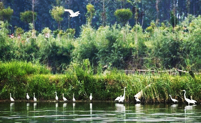 ͯԒ�ϼң���������Ԋ�����Ϙ���f����