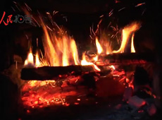 �t��t����~����������ʳ���ρ�