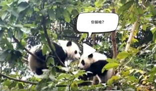 �L�L��̫�ɐ��ˣ�С��ȫ�̡���ĸЦ����