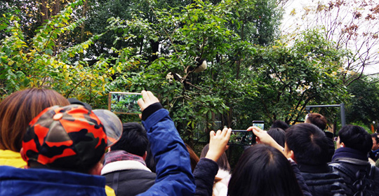 �@�����ӵ������ɶ����W�j���ˁ��cٝ