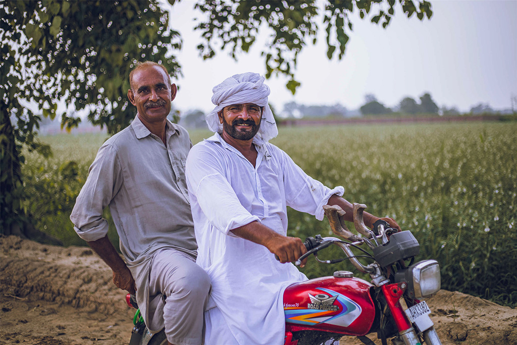 芝麻種植基地給當?shù)厝藥砀嗑蜆I(yè)機會。（人民網(wǎng)記者 薛丹攝）