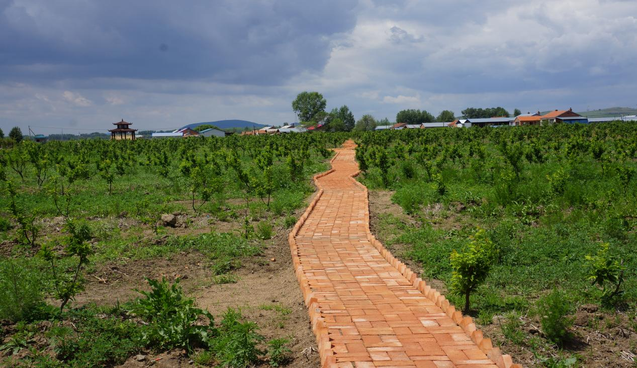 1711006605612698.png 圖片9.png